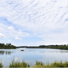 千波湖遊歩道